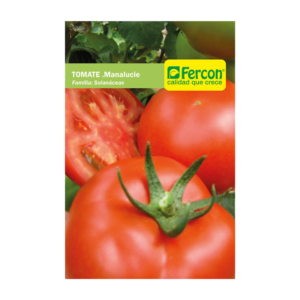 Tomate Milano