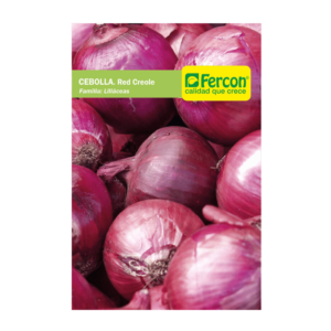 Cebolla cabezona roja