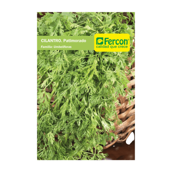Cilantro patimorado