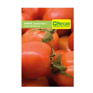 tomate santa clara