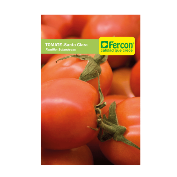 tomate santa clara
