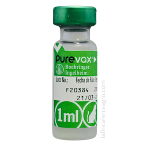 vacuna g leucem purevax