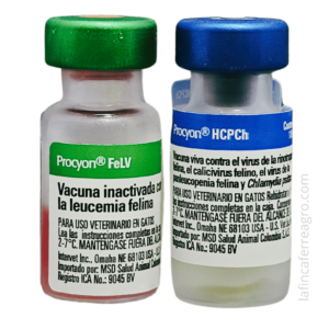 vacuna g leucemia + triple